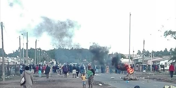 Police investigating case of public violence Police investigating case of public violence | News Article