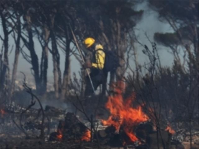 Wildfires have cost city of Cape Town millions... so far | News Article