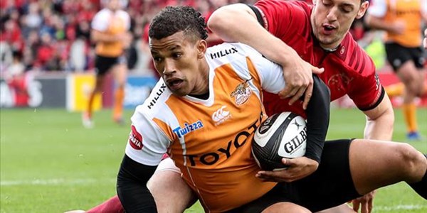Blommetjies returns, Maartens on the bench Blommetjies returns, Maartens on the bench | News Article