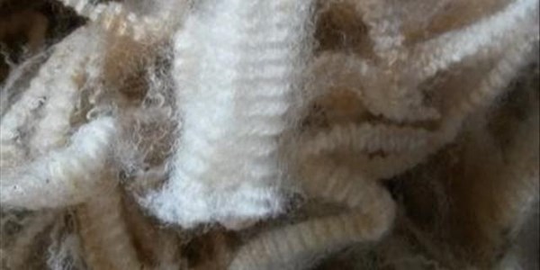 Good gains at first wool sale of the year Good gains at first wool sale of the year | News Article