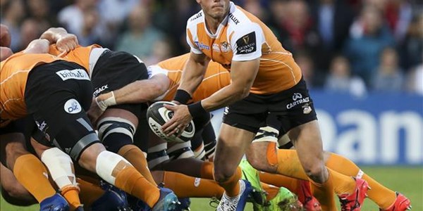 Cheetahs ring the changes for Connacht outing | News Article
