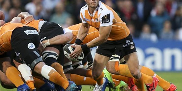 Cheetahs ring the changes for Connacht outing Cheetahs ring the changes for Connacht outing | News Article