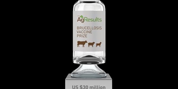 Global competition to find Brucella vaccine for third world Global competition to find Brucella vaccine for third world | News Article