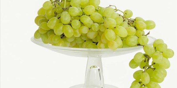 Orange River table grape harvesters nearly done | News Article