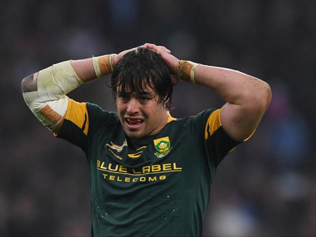 Boks might play France four times in 2017 | News Article