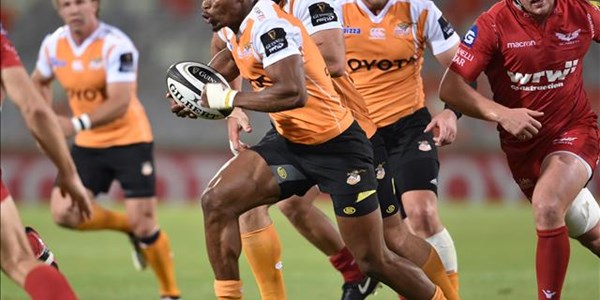 Mapimpi could be staying at the Cheetahs Mapimpi could be staying at the Cheetahs | News Article