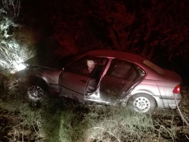 Two men left injured after vehicle crashes into a tree | News Article