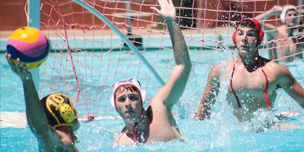Grey reach water polo quarters first time in 10 years | News Article