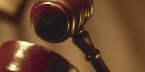 Judgment handed down in Bfn on fraudulent livestock transaction Judgment handed down in Bfn on fraudulent livestock transaction | News Article