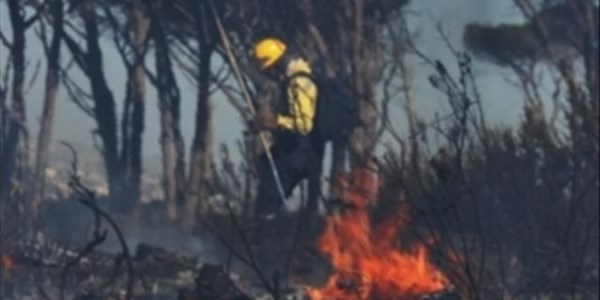 Somerset West wildfires 'now within metres of homes' Somerset West wildfires 'now within metres of homes' | News Article