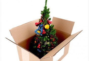 if you haven t taken down your christmas decorations yet if you haven t taken down your christmas decorations yet