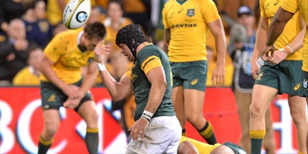 Whiteley and Jantjies optimistic about the Boks | News Article