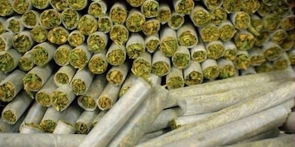 Afternoon Delight: Today on "The Issue" - Legalizing marijuana ft. The Dagga Couple | News Article