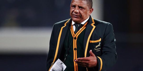 Coetzee remains Boks coach - Franco joins as assistant  | News Article