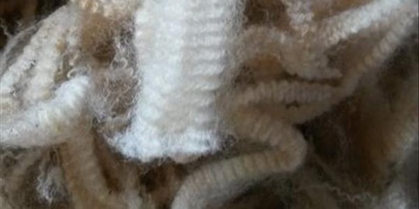 Latest wool market reports | News Article