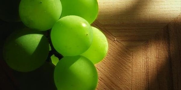 Table grape producers on track for normal year | News Article