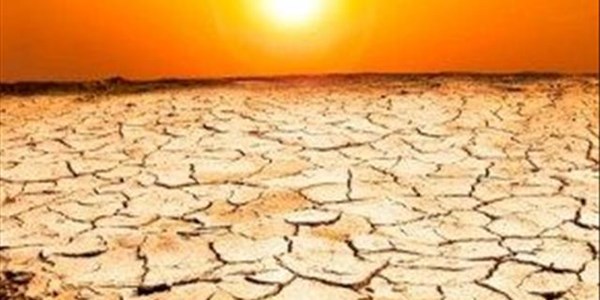 Department continues to distribute drought aid feed  | News Article