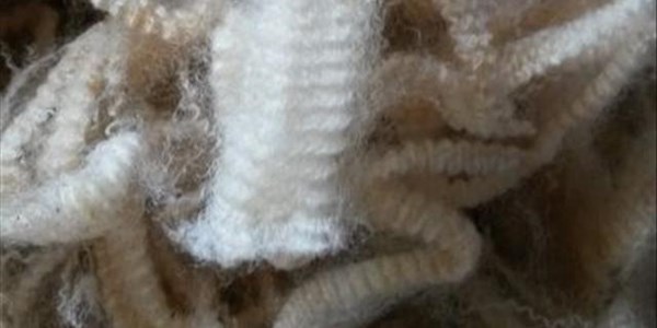 Wool futures trading platform in the pipeline Wool futures trading platform in the pipeline | News Article