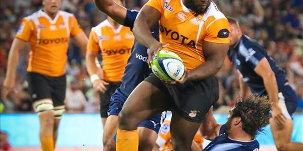 Returning players set to boost Cheetahs | News Article