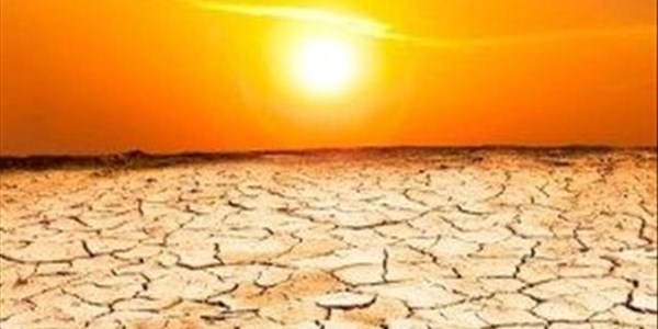 Oxfam report highlights social impact of drought  | News Article