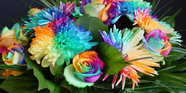 Saturday Express: Feature Hobby -  Flower art. | News Article