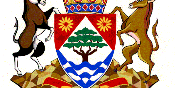 NC Finance MEC to table budget NC Finance MEC to table budget | News Article