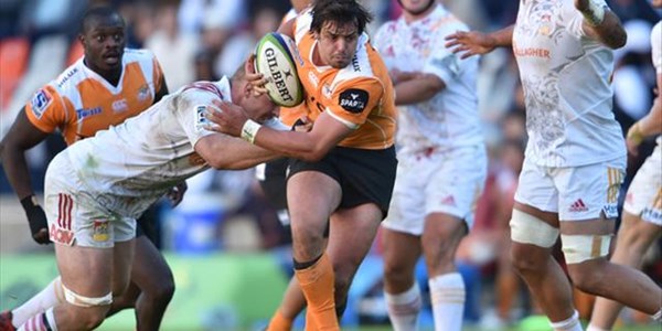Cheetahs looking for positives | News Article