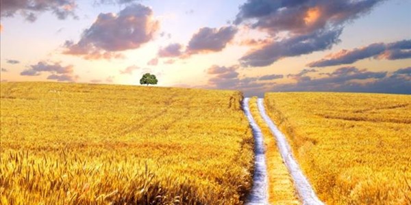 Agri SA seeks clarity on new land claims amendment bill Agri SA seeks clarity on new land claims amendment bill | News Article