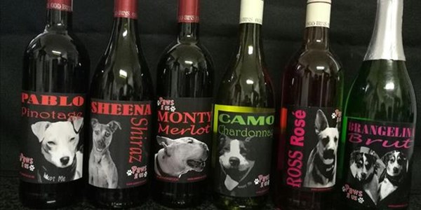 Afternoon Delight: Wine drinkers can help animal shelters  | News Article