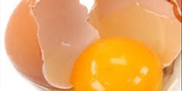 Egg prices on the increase | News Article