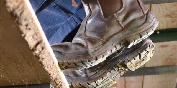 Farm inspections underway in NC Farm inspections underway in NC | News Article
