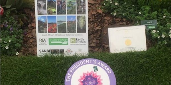 Afternoon Delight: South Africa Wins Gold AND President’s Award at Chelsea Flower Show | News Article