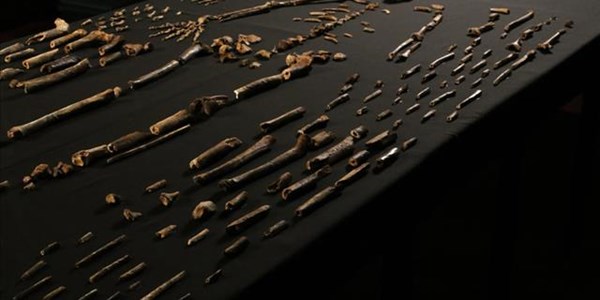 Homo Naledi likely existed alongside early human civilization Homo Naledi likely existed alongside early human civilization | News Article
