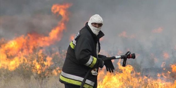Vrystaat Landbou (VL) vra publiek se hulp om brande te voorkom  | News Article