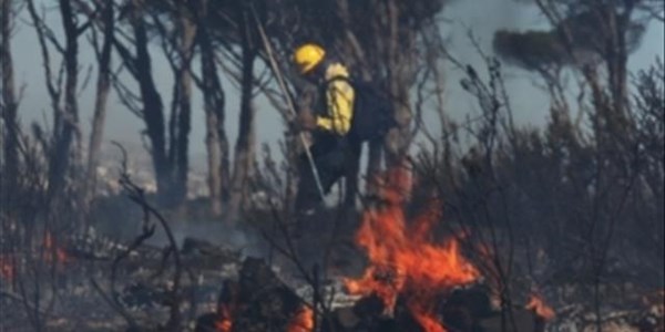 Knysna fire led to largest deployment of firefighting resources in SA history Knysna fire led to largest deployment of firefighting resources in SA history | News Article