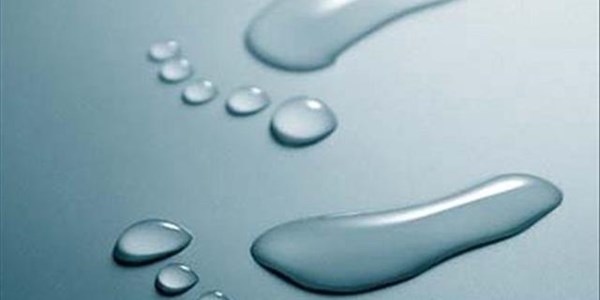 Reducing water use in agriculture Reducing water use in agriculture | News Article