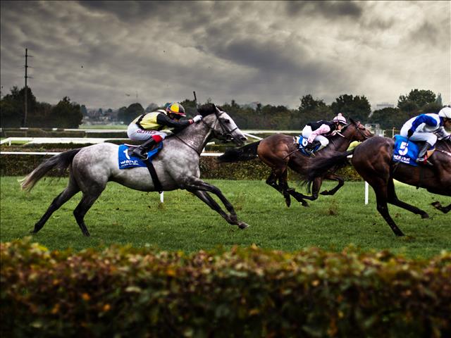 Afternoon Delight: André reflects on his time at OFM - A horse race | News Article