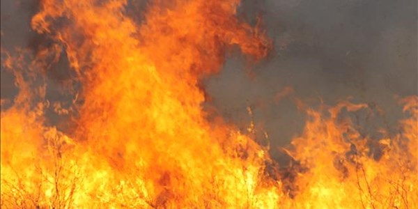 Two children burn to death at Dunnottar military base Two children burn to death at Dunnottar military base | News Article