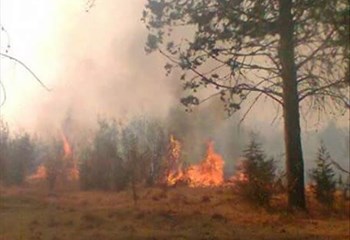 Free State Department of Agriculture warns farmers ahead ...