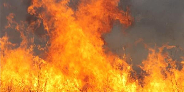 Knysna-brande steeds buite beheer Knysna-brande steeds buite beheer | News Article