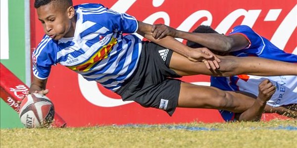 Four U13 teams remain unbeaten at Grey Four U13 teams remain unbeaten at Grey | News Article
