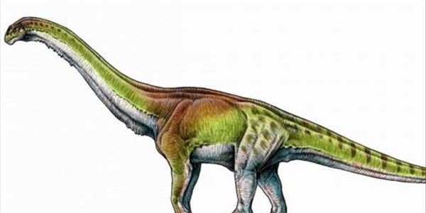 Giant dino smaller than first thought | News Article