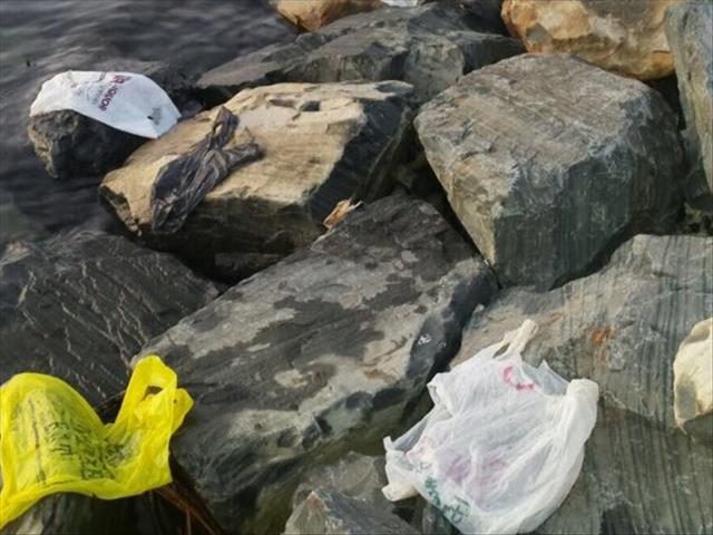 Kenya bans plastic bags, may fine violators $38,000 | News Article