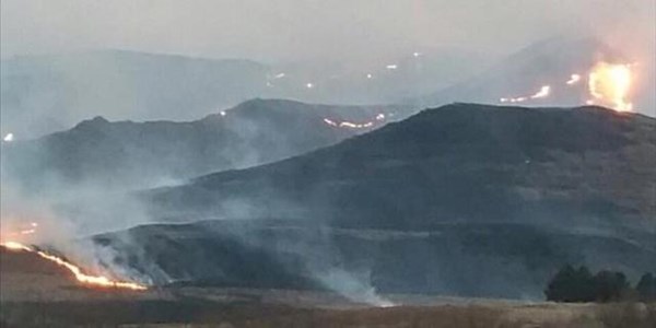 Farm land destroyed in fire | News Article