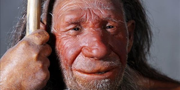 Neanderthal Brains Developed More Slowly Ofm