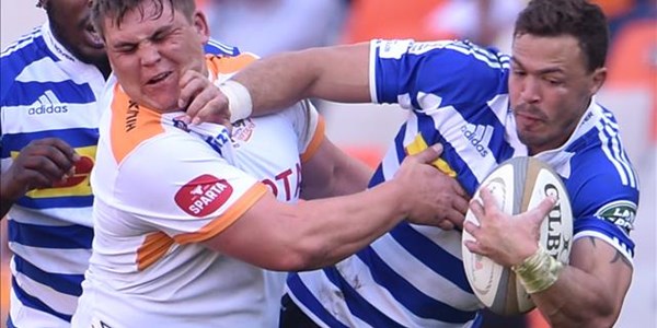 Stapelberg set for Toyota FS Cheetahs debut Stapelberg set for Toyota FS Cheetahs debut | News Article
