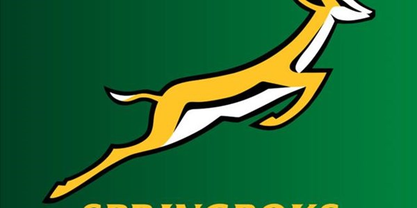 The Locker Room: Boks share points with Wallabies | News Article