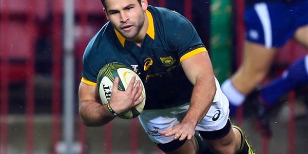 Reinach ready to answer the Bok call | News Article