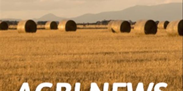 PODCAST: Agri News @ 11:00 | News Article