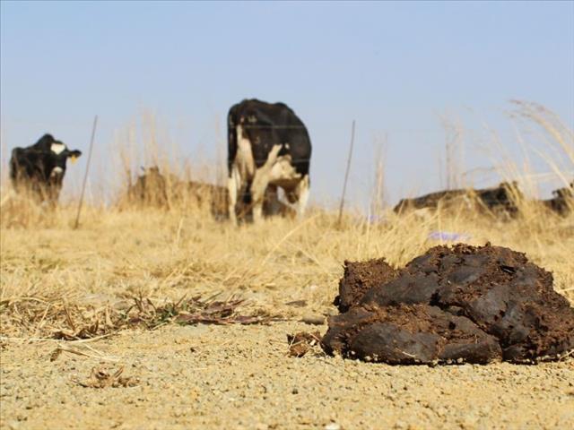 Outspoken #VredeDairy beneficiary killed  | News Article